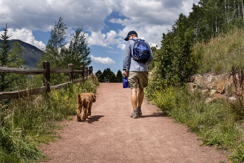 man walking with labradoodle dog on path