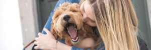 A Labradoodle Dog and woman outside on balcony