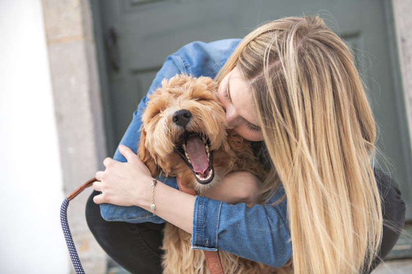 A Labradoodle Dog and woman outside on balcony