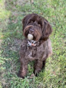 IMG_7833_4