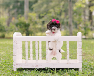 Jersey-Female-$3000