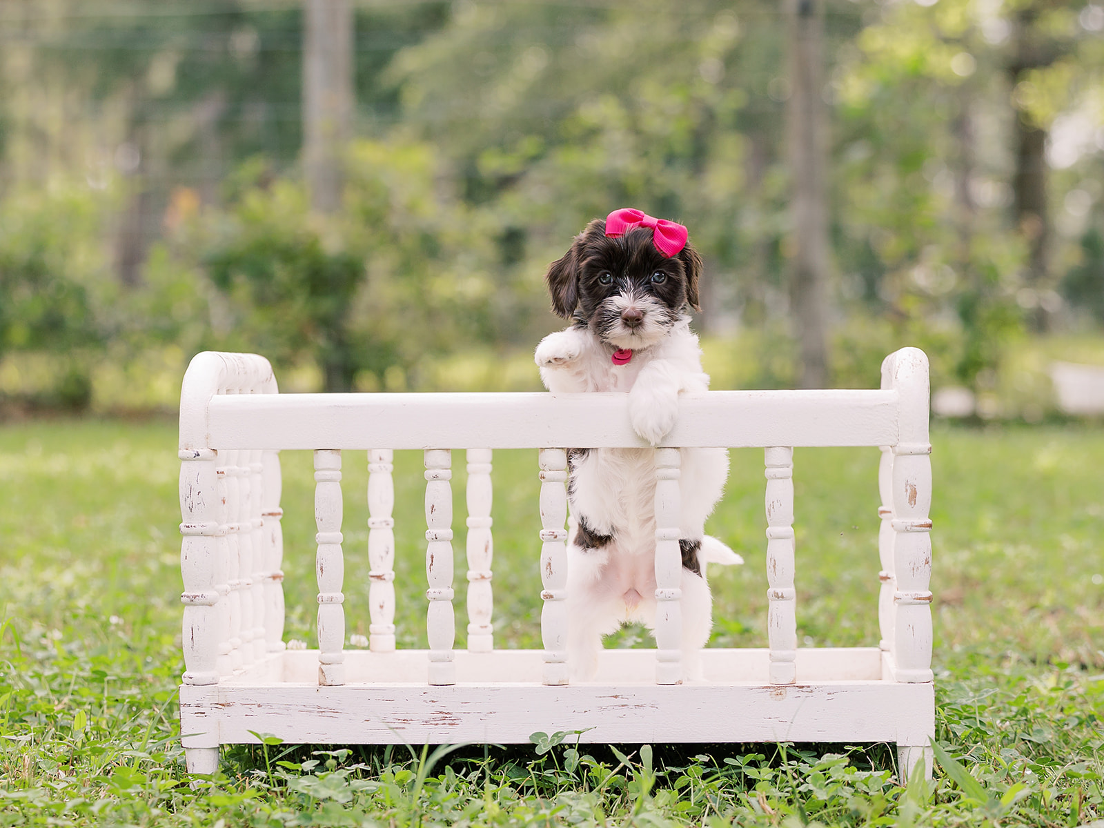 Jersey-Female-$3000