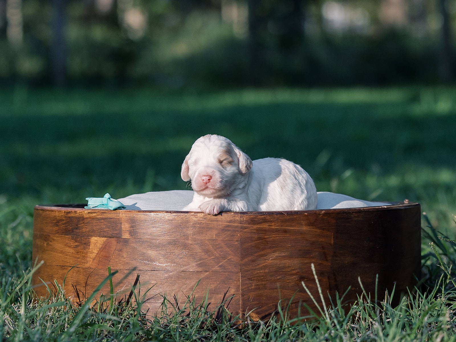 Salted Caramel-Female-$2800