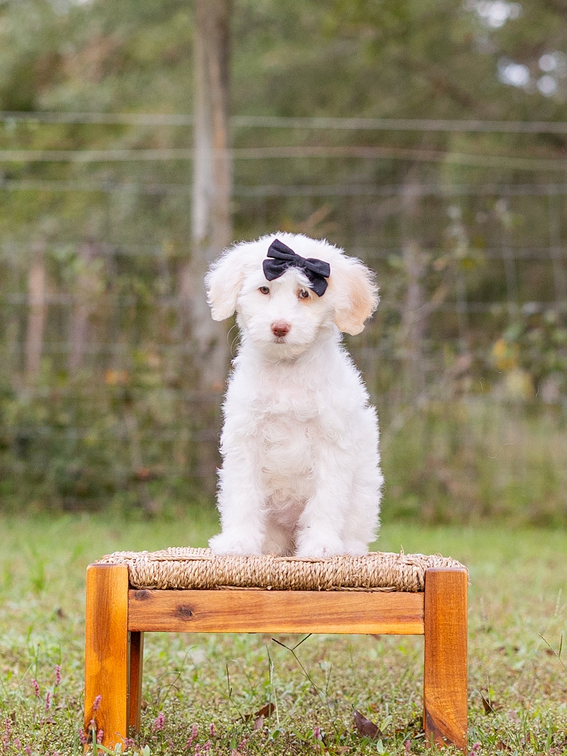 Salted Caramel-Female-$2800