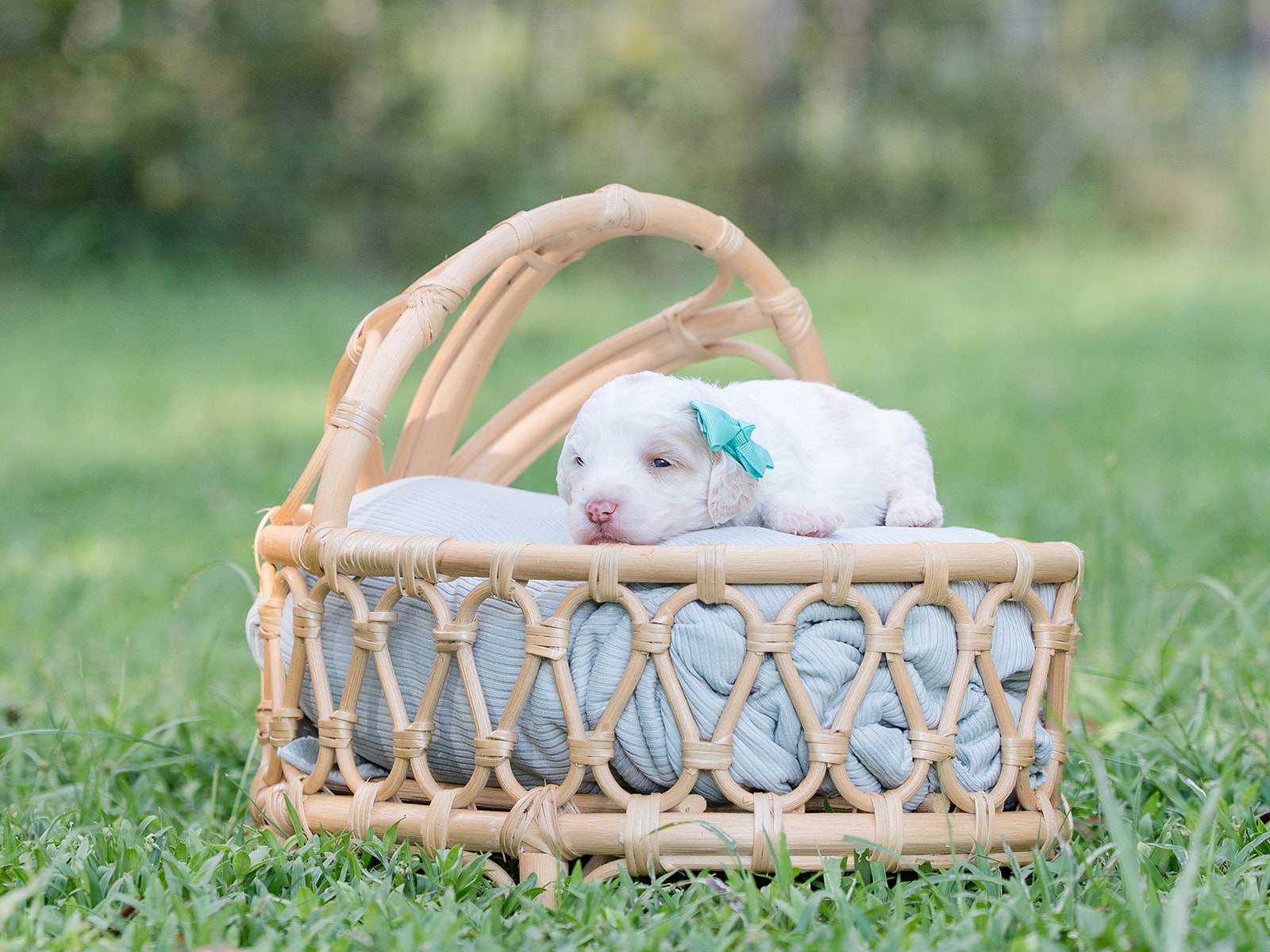 Salted Caramel-Female-$2800