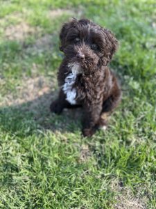 0D6335FE-F85E-457F-A5C0-FC2920459C07