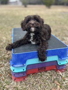 BBBFDD45-4451-4DF9-BA07-4CF341E3133B