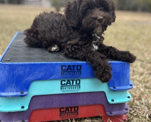 Violet-Female-$3200(discounted through 4/5)