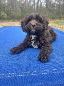 F1974E7B-37F7-421C-AE29-7F0F7E242E14