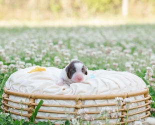 Yosemite-Female-$3000