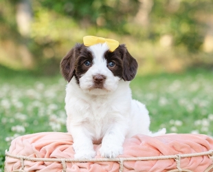 Yosemite-Female-$3000